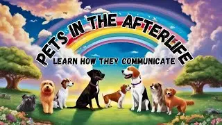 Pets in the Afterlife: Comforting Stories of Visits and Messages