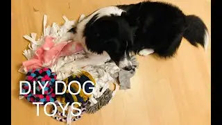 DIY dog toys - Doma vyrobené hračky pro psy