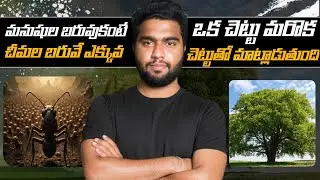 Top 10  Interesting 😳Facts in Telugu | Unknown Facts | Bharath Raw Talks