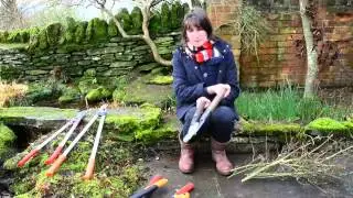 TEG  Long handle bypass pruners