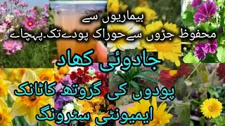 Fertilizer for All Plants with all Essential Elements | Strong Roots and Faster Growth....