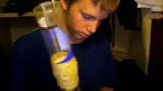 bong update