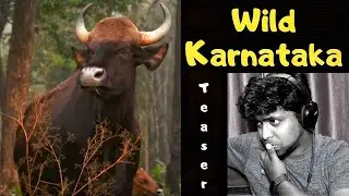 M.O.U | WILD KARNATAKA Teaser Reaction | Mr Earphones BC_BotM