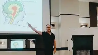 DISC Mamalian brain