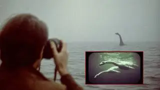 Face to Face with the Loch Ness Monster: I Realized It's Not Just a Simple Animal.
