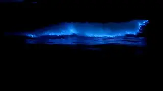 ROSSINAVI BLUE - Official Video