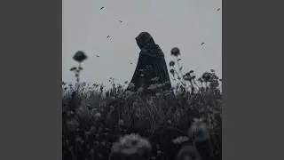 frozen relics