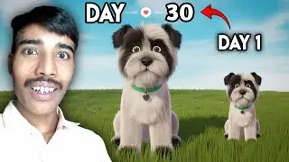 Dog 🐕 Life | Dog Life Simulator GamePlay | Karan Gamerz