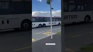 Public transport in NZ #lifeinnewzealand #hamilton #busit