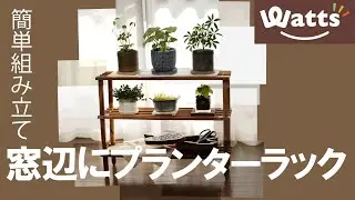 お手軽プランターラックで窓辺に彩り⭐︎機能的にプチDIY⭐︎ベランダ窓ぎわ多目的棚⭐︎観葉植物【100均】〜Watts〜