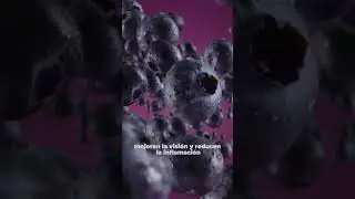 LAS GROSELLAS NEGRAS | Una Verdadera Maravilla Para Tu Sistema Inmune y SALUD OCULAR ❕ #frutas