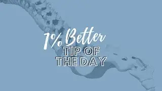 1% Better Tips: How are chiropractic, the immune system, and autonomic nervous system connected?