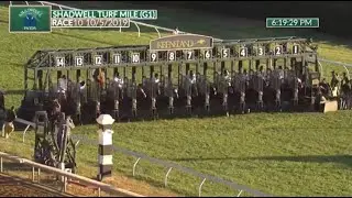 2019 Shadwell Turf Mile Stakes (G1): Bowies Hero