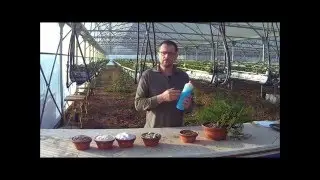 les engrais en bonsai 2