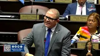 Turno del diputado Rafael Castillo, Sesión Extraordinaria No. 00036, viernes 9 de enero de 2026.