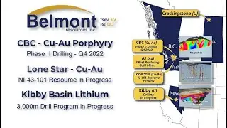 Belmont Resources Projects