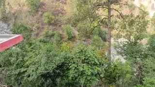 Amazing View From Almora ❤|| Nainital To Almora Road 🥰|| Uttarakhand ⛰️|| 2022