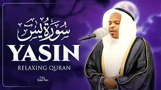 Surah Yaseen (Yasin) سورة يس | Heart Touching Healing Quran for Deep Relaxation - By Abdulraheem Isa