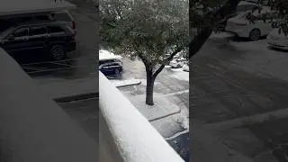 First snow of this year in Austin #usa #Texas #winter #snowfall