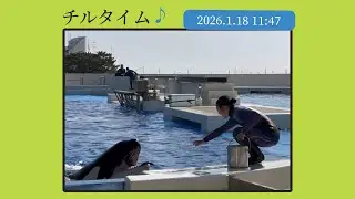 Chill time ♪ 2026.1.18 11:47.