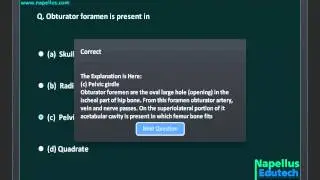 Movement And Locomotion  | Smart Test-2 | AIPMT, AIIMS, AFMC Video Lecture | Biology