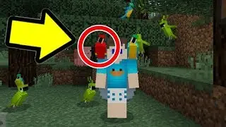COMO DOMESTICAR O PAPAGAIO NO MINECRAFT PE 1.2 ! (Minecraft Pocket Edition)