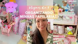 Vlogm&aacute;s dia 4 - Organizando minhas papelarias! #papelaria #vlog #vlogmas2024 #organization