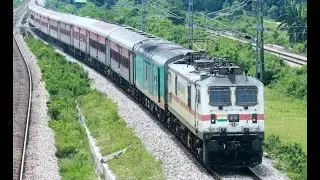 Non-Stop Train Running Live | Station View | High Speed Train Live 🚆| Live Train Arrival & Departure