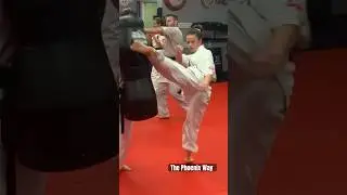 Kyokushin Karate Training Drill at The Phoenix Way Dojo #training #shorts #karate #karategirl #osu