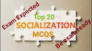 MCQS on Socialization/socialization MCQS/Top 20 MCQS on Socialization