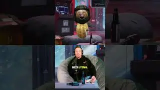 ОФИЦЕР РАЗОБЛАЧАЕТ АРАХИСА ТОЛСТЫМ
