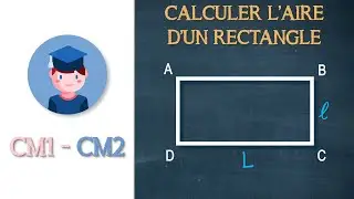 Calculer l'aire d'un rectangle - CM1 CM2 - Petits Savants