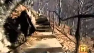 Vladimir III, Prince of Wallachia