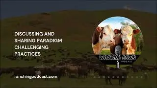 Ep. 135 &ndash; Ian Mitchell-Innes &ndash; Managing Energy Throughout the Year | Working Cows