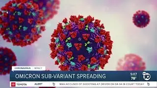 Omicron  sub-variant spreading