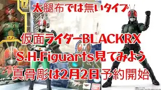 【既存のRXフィギュアーツを見てみよう】S.H.Figuarts 真骨彫製法 仮面ライダーBLACK RX フィギュア ソフビ シャドームーン 倉田てつを 岡元次郎