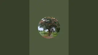 priyanka lata is live