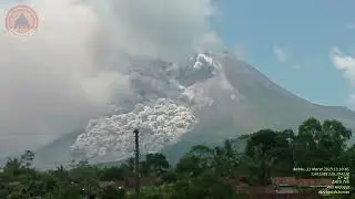 erupsi merapi 11 maret 2023  tunggul arum #merapi #erupsimerapi #erupsimerapi2023