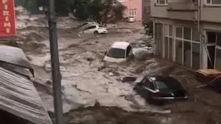 БОЗКУРТ. ТУРЦИЯ❤️🇹🇷2021Г.