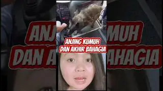 Anjing kumuliert dan akhir Yang Bahagia  🥹🥹❤️|nevika_julia