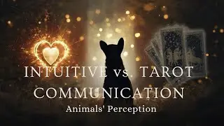 🐾 Animals&rsquo; Perception: Intuitive vs. Tarot Card Communication