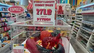 World's Largest Gummy Snake | Super CjP