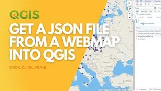 How to get web map json data into QGIS