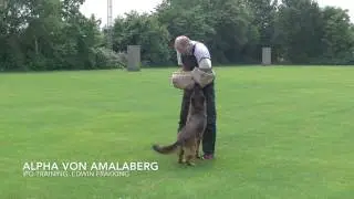 IPO2 training Alpha von Amalaberg