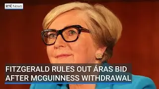 Fitzgerald rules out &Aacute;ras bid after McGuinness withdrawal