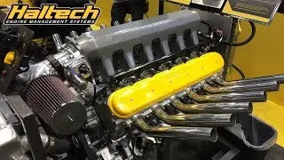 Двигатель V12 LS и системы управления двигателем Haltech &mdash; SEMA 2017