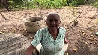Vovó joaninha deixou escapar 🙀🙀🙀