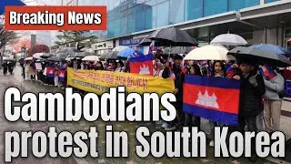 Breaking: Cambodians Protest Against Thailand in Korea&mdash;Clashes Erupt in Multiple Areas