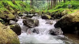 River Sounds for Faster Sleep, Deep Relaxation, and Effective Stress Management