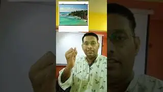 5 типов проекционных экранов для проекции... могут использоваться для различных целей. Экран можн...